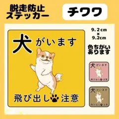 【チワワ】ステッカー　飛び出し注意　犬がいます　玄関　注意　脱走防止
