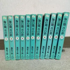 海の闇、月の影 小学館文庫版コミックス 全11巻セット ヤケあり
