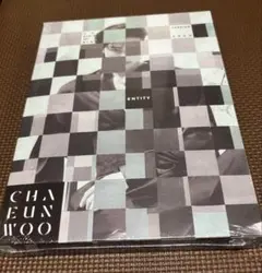 ● 新品未開封品●ASTRO チャウヌ ENTITY
