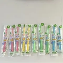 タフト17M 10本セット