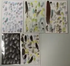 鳥の羽根セット　09023