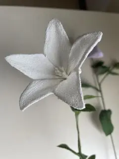 Item thumbnail for item ad532614-06f1-4306-843d-e5227712eecd