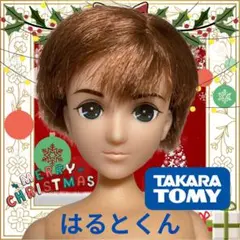 向かいの家のお兄さんはるとくん茶髪①タカラトミー リカちゃん人形　ボーイフレンド