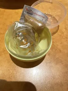 【正規品】うちの子のけだまだま　ガチャガチャ　カプセルトイ　茶トラ