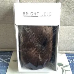 Item thumbnail for item 5145b444-9c78-4924-aafe-ffc1c910f890