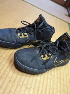 NIKE KYRIE FLYTRAP カイリーフライトップ