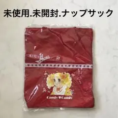 期間限定値下げ中！激レア！入手困難！キャンディキャンディ　ビニールバッグ　レトロ 2025年最新】キャンディキャンディビニールバッグの人気アイテム