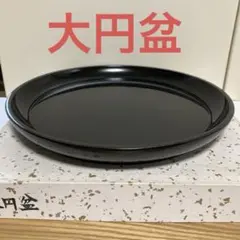 2025年最新】大円盆 茶道具の人気アイテム - メルカリ
