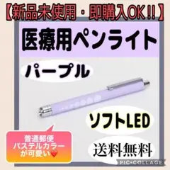 【普通郵便】医療用LEDペンライト パープル 看護 メディカル 防災 軽量 小物