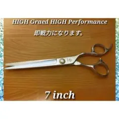 Item thumbnail for item 1e3db3c7-54b2-4917-b1ed-6051fc1b9481