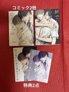何でもいいから消えてくれ　1・2巻 ひなこ　アニメイト　コミコミ　女性漫画　BL