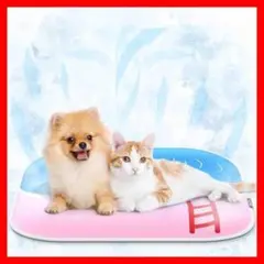 Item thumbnail for item 3ebf42d5-76f7-4bbe-af19-b7bdb88da59e