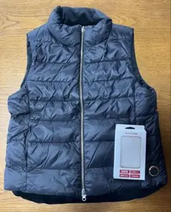 Item thumbnail for item 855ef0ce-b3c5-409c-97d4-26bc00e0cc8f