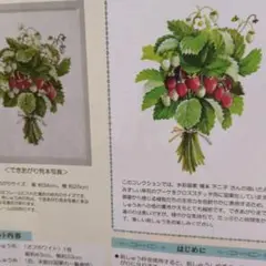 フェリシモキット　草花の息吹を感じて描くクロスステッチブーケ