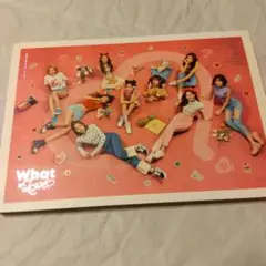 TWICE ミナ　What is Love