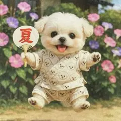 甚平姿のマルチーズオーダー可能パネル 朝顔
