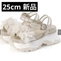 Item thumbnail for item 16c7e407-e3a6-49a8-9094-7f9e77efd3df