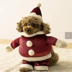 Item thumbnail for item 2b86bfef-3782-4c85-9197-d9ebe600089a