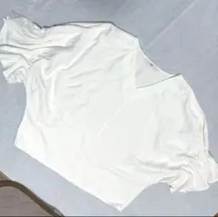 Item thumbnail for item e5878e85-33fa-49fc-9fd2-2cacfe0f45c2