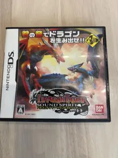 DSソフト