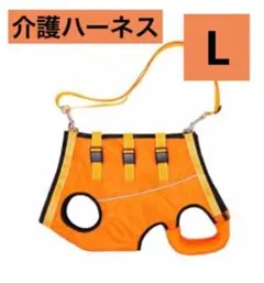 Item thumbnail for item da1c53d5-0219-40d1-b6fb-7417d6835ff4