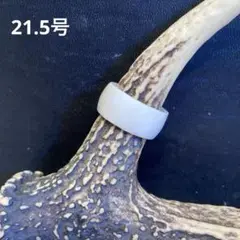 幸運の鹿の角リング310