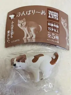 ふんばりーぬ　ジャックラッセルテリア