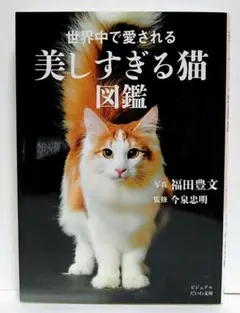 【廃棄予定】世界中で愛される 美しすぎる猫図鑑 ビジュアルだいわ文庫