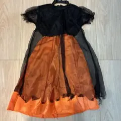 Item thumbnail for item 6e6212ba-443d-4d30-9523-d3b5c9dba27c