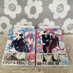 モブから見たBL 上下巻 アニメイト特典付き