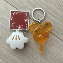 【9月2日まで特別価格！ディズニーランド！】キーホルダーセット！