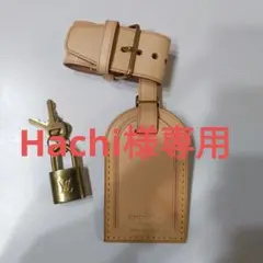 hg☆LOUIS VUITTON//ルイ・ヴィトン ネイムプレート&カギ