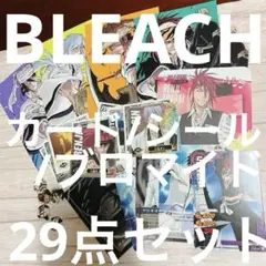 BLEACH カード/シール/しおり29点セット