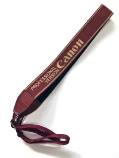 Item thumbnail for item cd766e24-e49b-4460-863b-1fc1bbc3a690