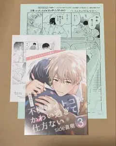 高比良りと　先生 不機嫌イトコがかわい過ぎて仕方ない アニメイト　特典　小冊子