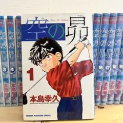 空の昴 全21巻セット 全巻完結 漫画 コミック