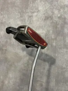 左利き用 テーラーメイド Rossa Spider