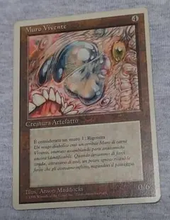 MTG　Muro Vivente　イタリア