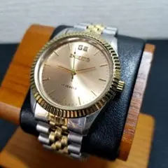 【動作OK】ZHU FENG 17石　メンズ　手巻き腕時計　腕回：16.5㎝
