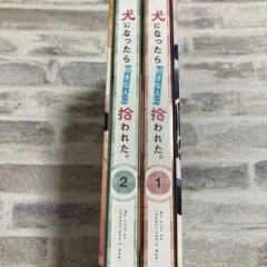 Item thumbnail for item 366f5096-e042-4a1e-b0ca-fe673373359a