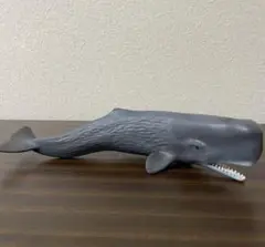 シュライヒ　【廃盤】コククジラ　仔 Amazon.co.jp: シュライヒ ワイルドライフ コククジラ