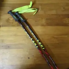 2025年最新】LEKI 長さ（cm）：120 〜 124.9cm ストックの人気