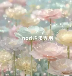 【noriさま専用】