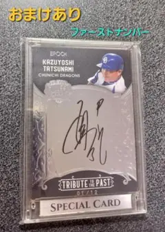 Item thumbnail for item 46a6098c-170d-418b-812f-e974b4dcf683