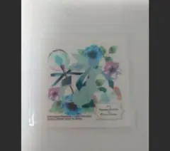 ポケモン グレイシア