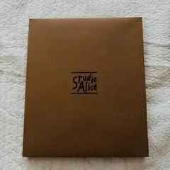 スタジオアリス　ダークブラウン木製フォトフレーム 四切サイズ