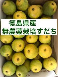 無農薬栽培❗️徳島県産すだち 1.4キロ