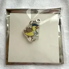 水野達稀 カルガモ隊