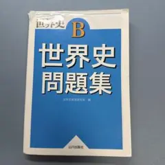 世界史問題集 B版