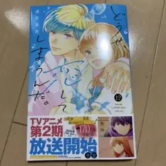 どうせ、恋してしまうんだ。(12)